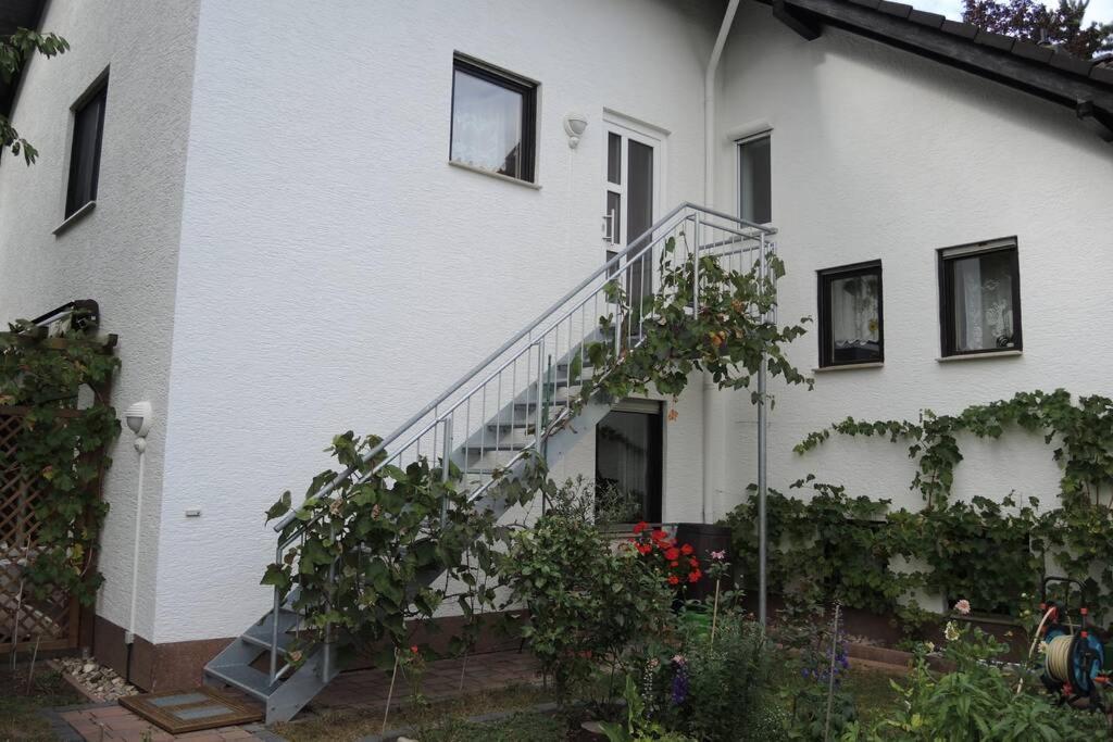 Apartement Am Kirschbaum Mommenheim Exteriér fotografie